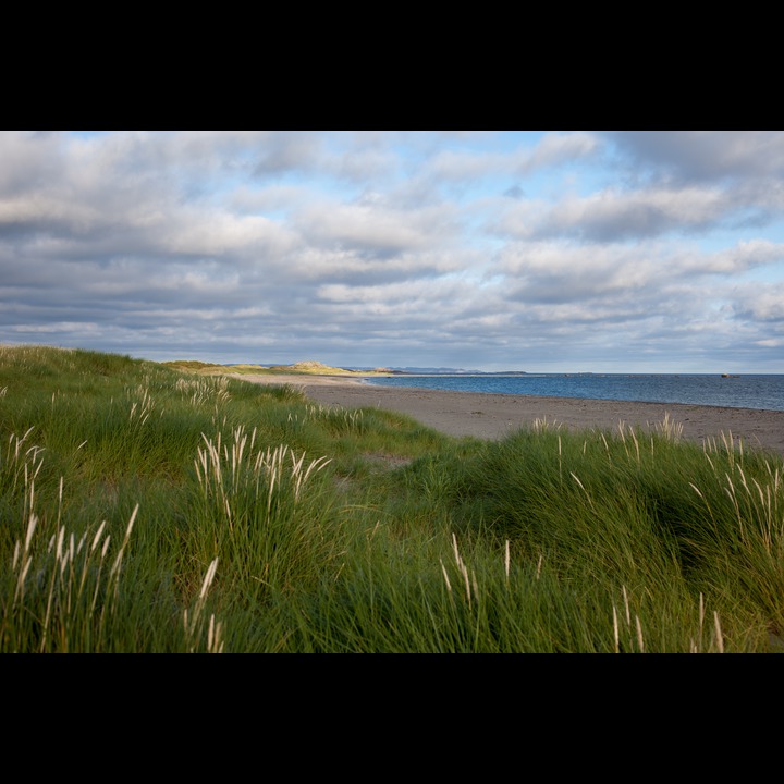 The Sand dunes at Kviljo looking east, with Kviljoodden in the distance.