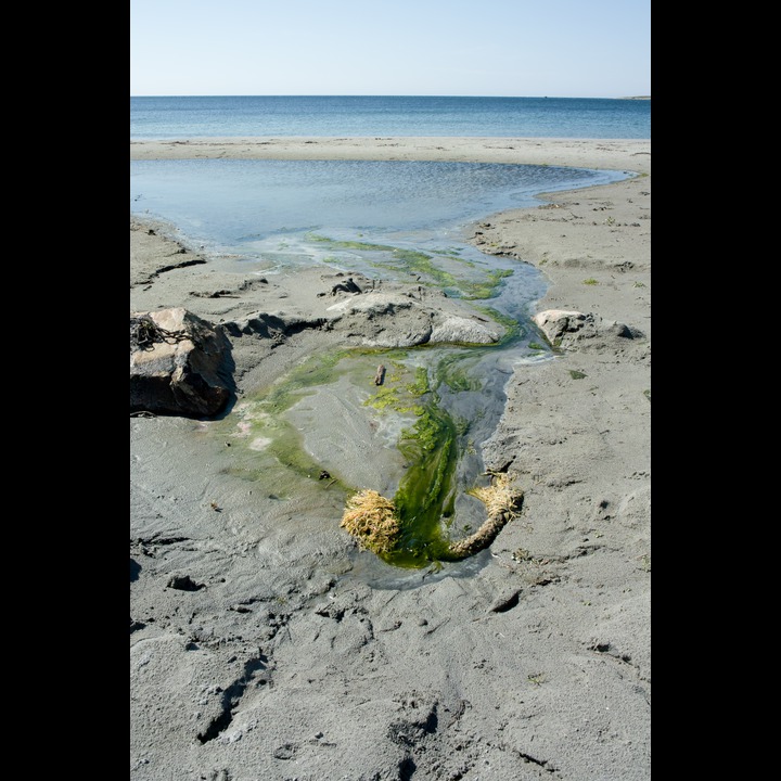 A fresh water spring on the beech near Lille Rauna