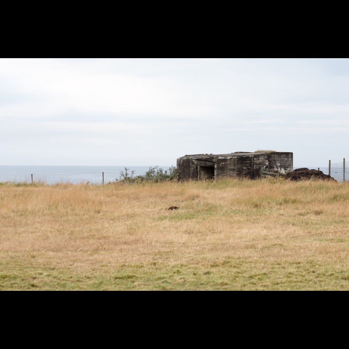 A remnant of Hitler's Atlantic Wall on Lista, in a field near the cabin.