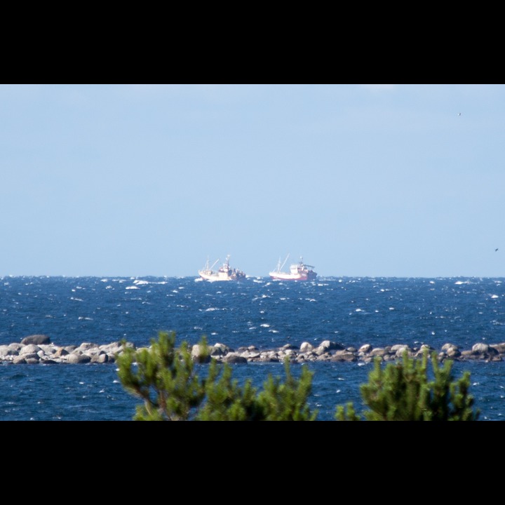 Two fishing boats apparently collaborating