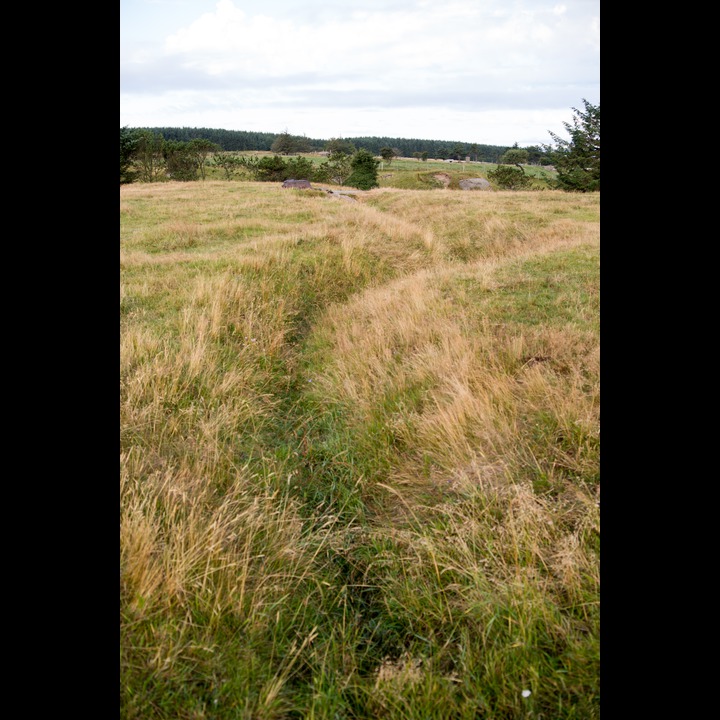 Trenches between the German defence installations are still visible in the pastures at Østhassel