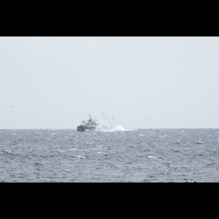 A fully laden fishing vessel on its way round Lista