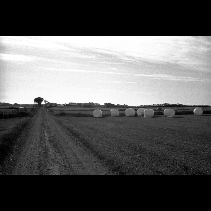 The road between Hananger and Kviljo