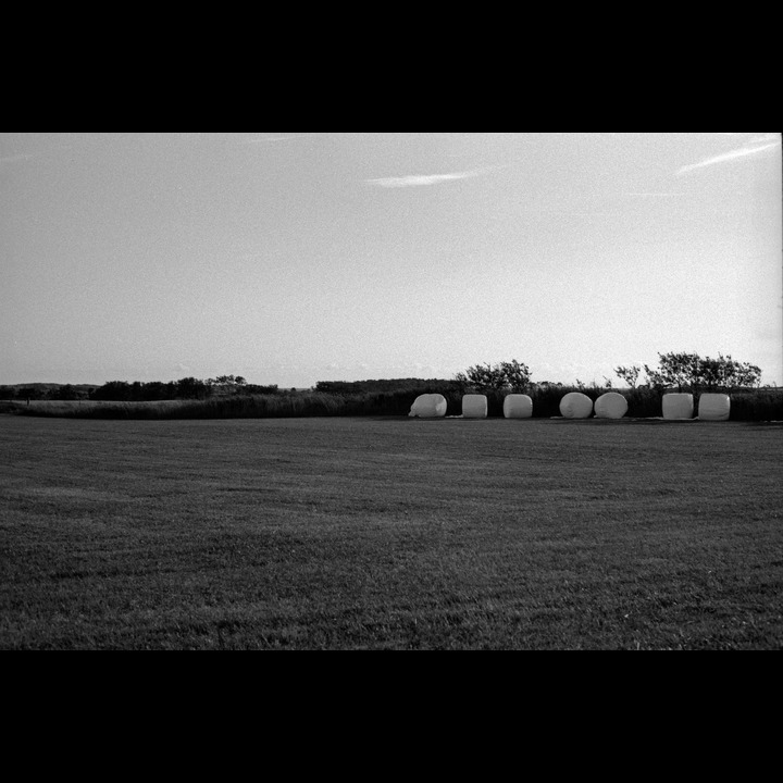 Fields just behind the sand dunes at Hananger