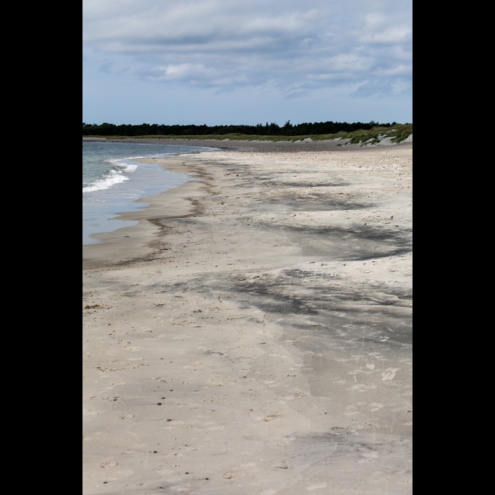 The vortex of wind and current scalloping the beach at Kviljosanden