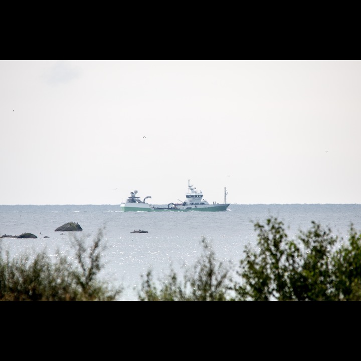 A couple of hours later, a fully laden fishing boat passes