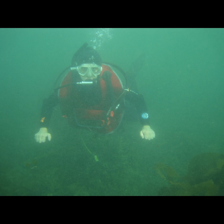 Toufoul in the water at Østhasselstrand