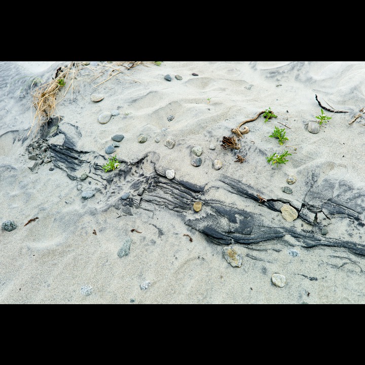 Layered sand at Kviljosanden (The black is algae)
