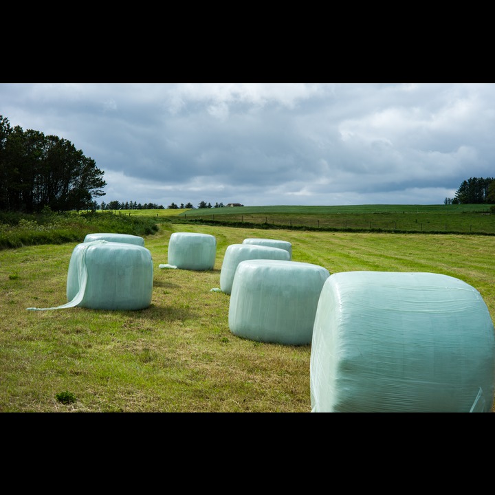 Bales of hay at Kviljo