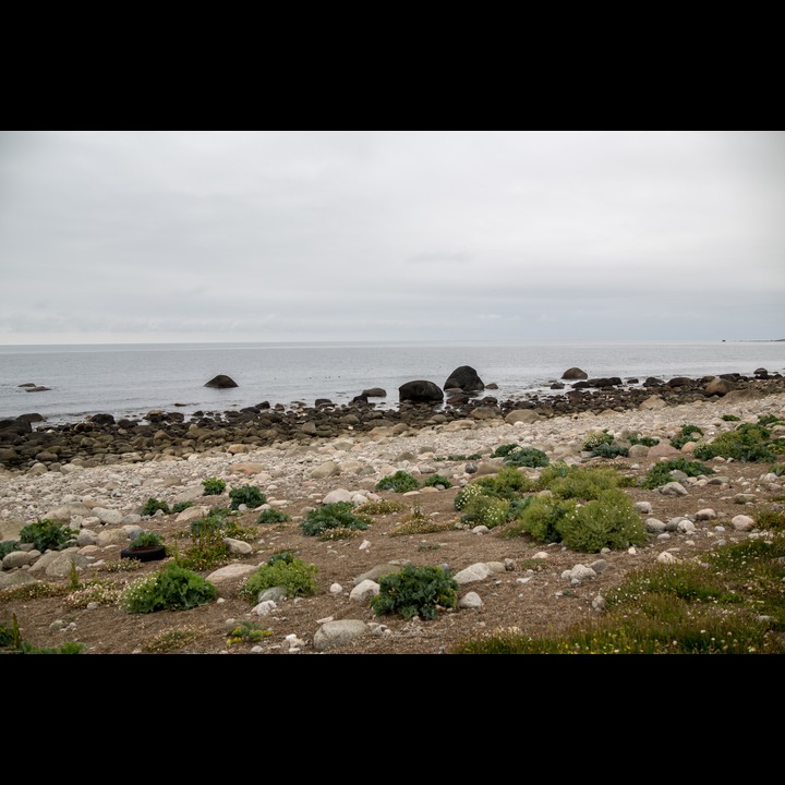 The beach at Marka firing range