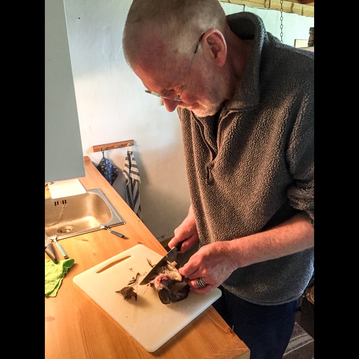 Børre cleaning the starling that Kosen brought in. I cooked it, but Kosen didn't quite understand that it was edible.