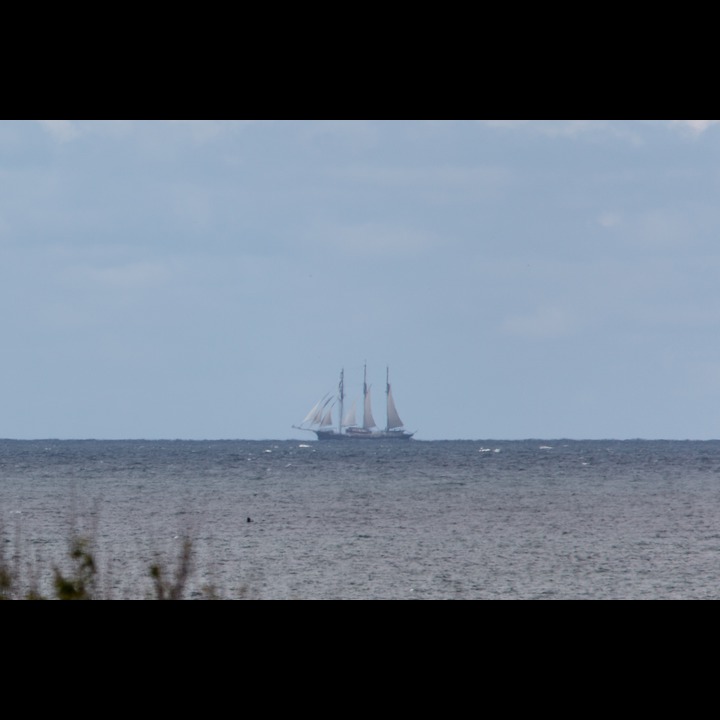 Roald Amundsen (DE), going east to Kristiansand (Tall Ships Races 2015)