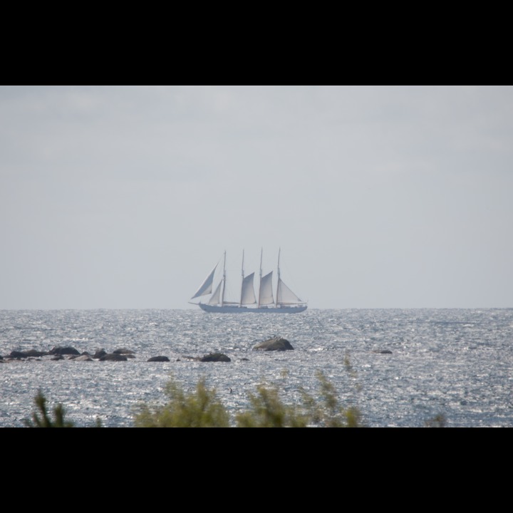 Santa Maria Manuela (PT) in the Tall Ships Races 2015