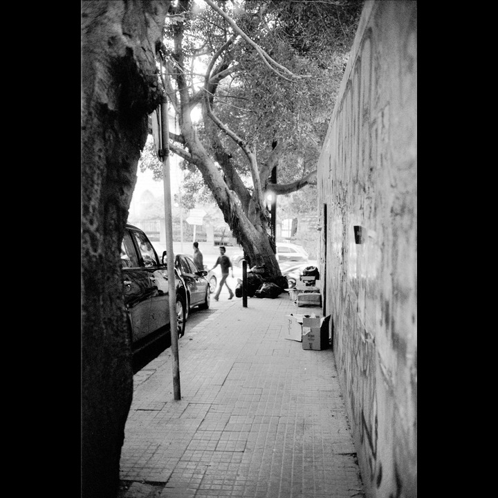 I keep marvelling at how these trees have grown out of their metal fences - and how garbage collaction points have eternal life. Rue Abdel Aziz, lower end