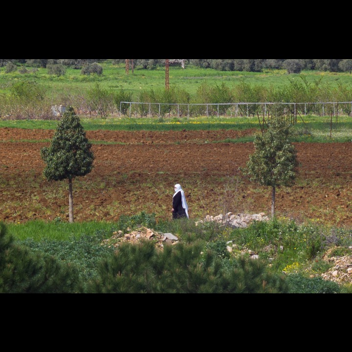 A Druze lady at Ibl el Saqi