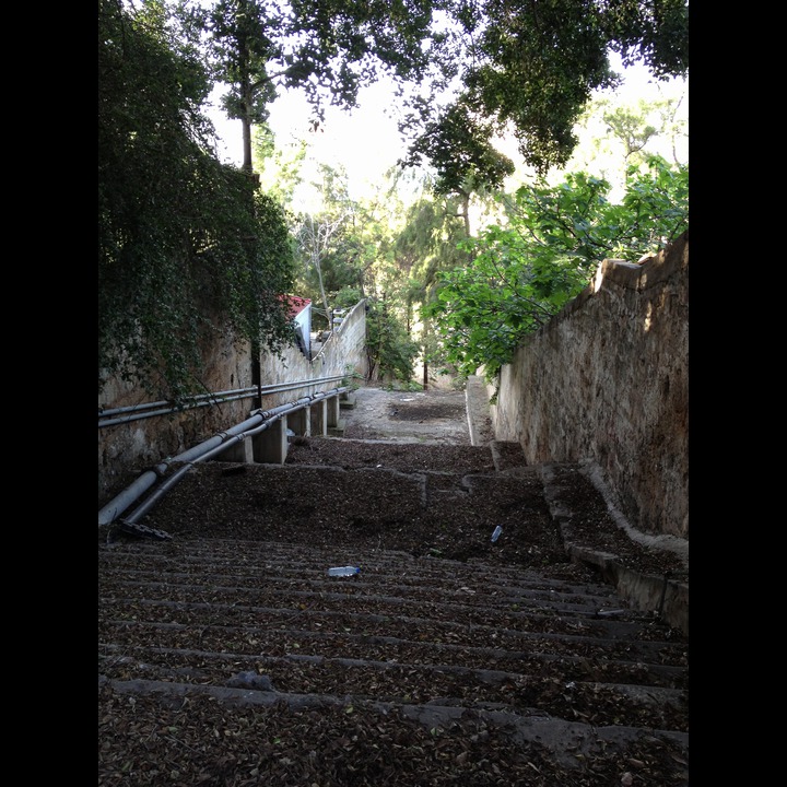The AUB stairs down to ACS. These are now closed off.