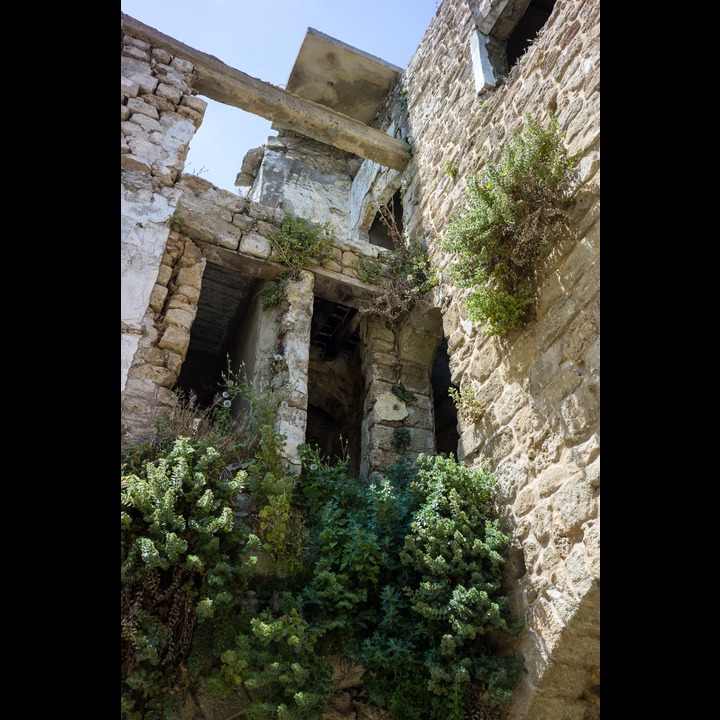 Old Saida