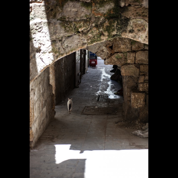 The Jewish Quarter in Old Saida - low arches to prevent the passage of worriors on horseback