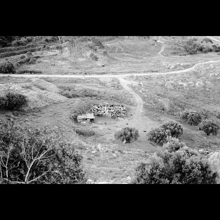 Goat farm below St. Elias' Church, Jdeidet Marjaayoun