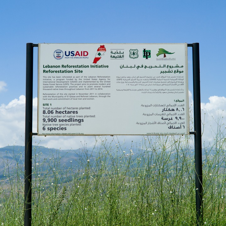 A USAID reforestation project near Jdeidet Marjaayoun