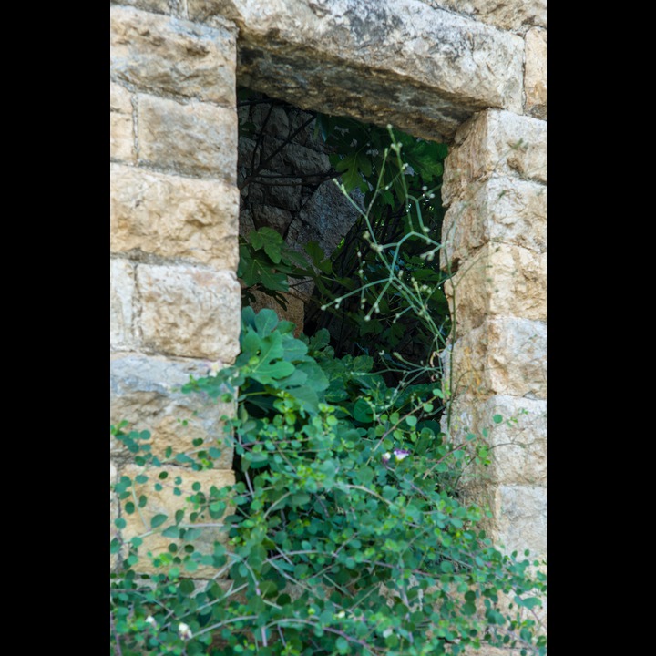 Another abandoned house in Jdeidet Marjaayoun