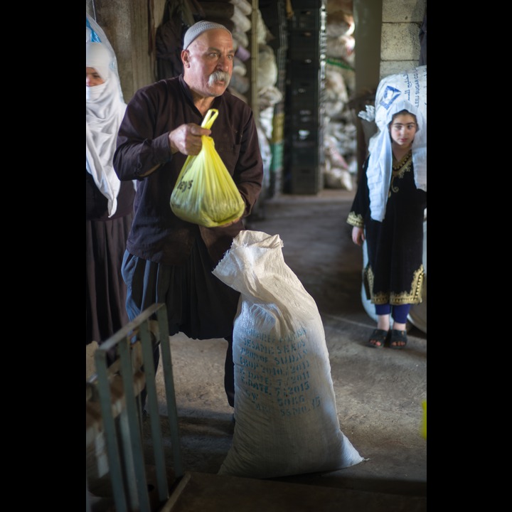 Weighing pine nuts delivered for cracking