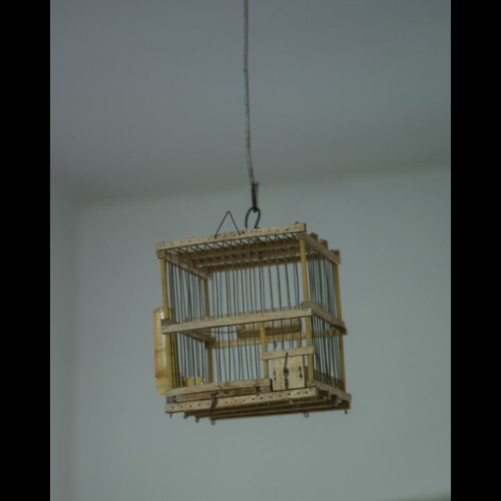 A bird cage in Ain Qinya