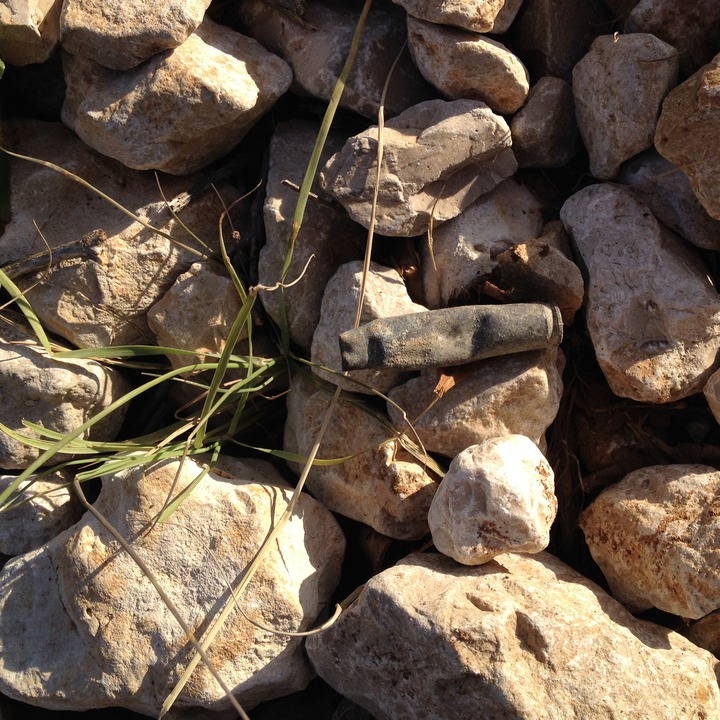 A small shell casing - (From the Chouf Cedar Reserve at Maaser el Chouf)