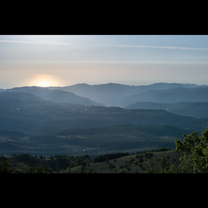 From the Chouf Cedar Reserve at Maaser el Chouf