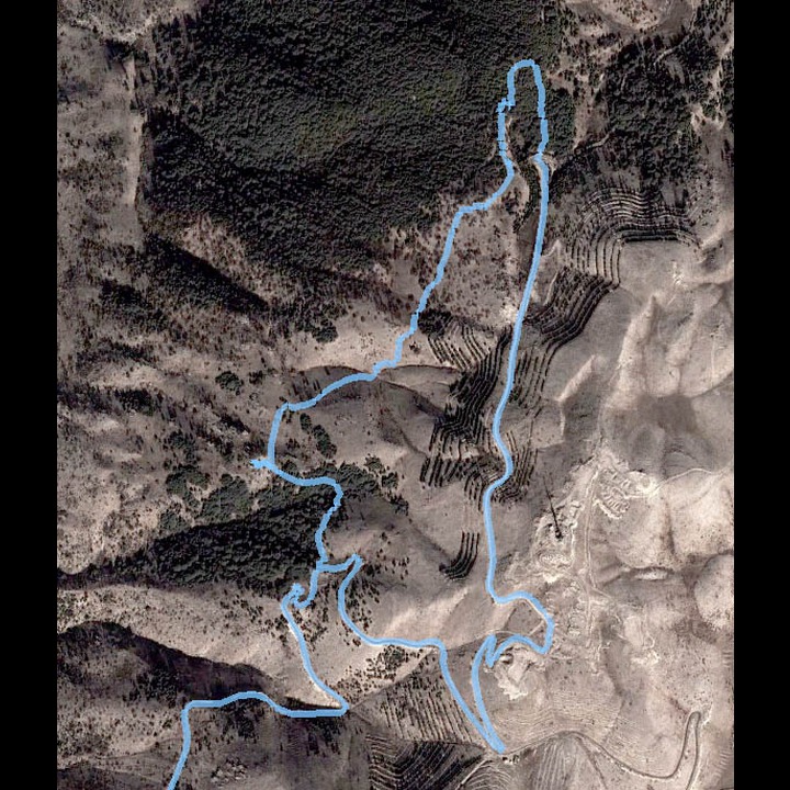 Our track in the Maasser el Shouf cedar reserve