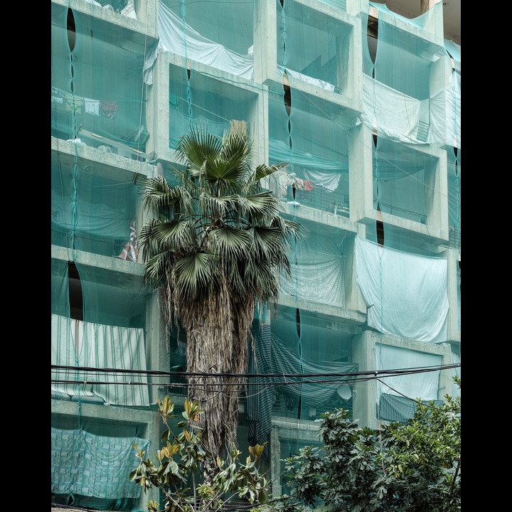 Squatters on Rue Sidani