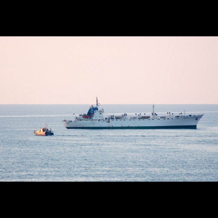 A patrol boat from the Lebanese navy preparing to board the cattle ship 