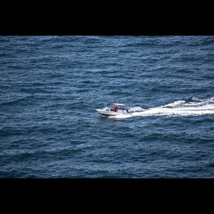 Porpoise safari - from Kullens Lighthouse, Kullaberg