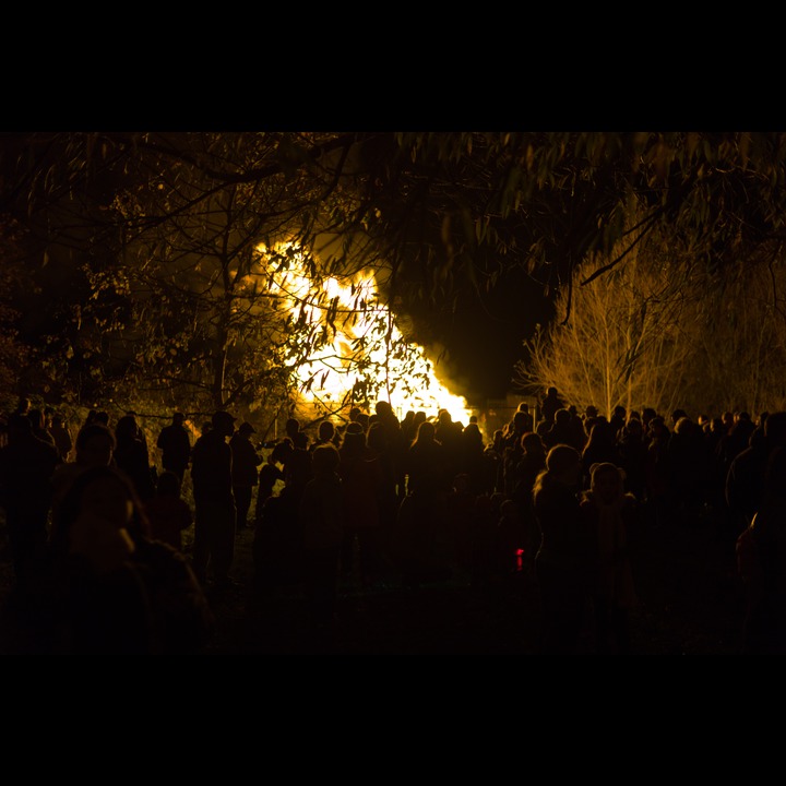 Bonfire Night at the The Plough, Wolcercote