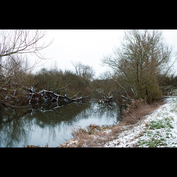River Cherwell (نهر الشروال) - Here be wind in the willows.
