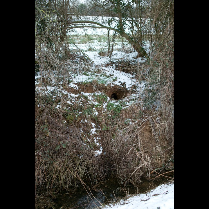 'Badger's' lair on a stream running into the Cherwell - Water Eaton