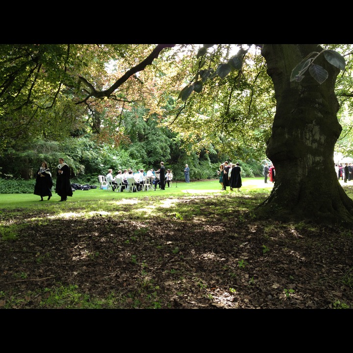 Orchestra at the garden party at Worcester College for the Encaenia 2012