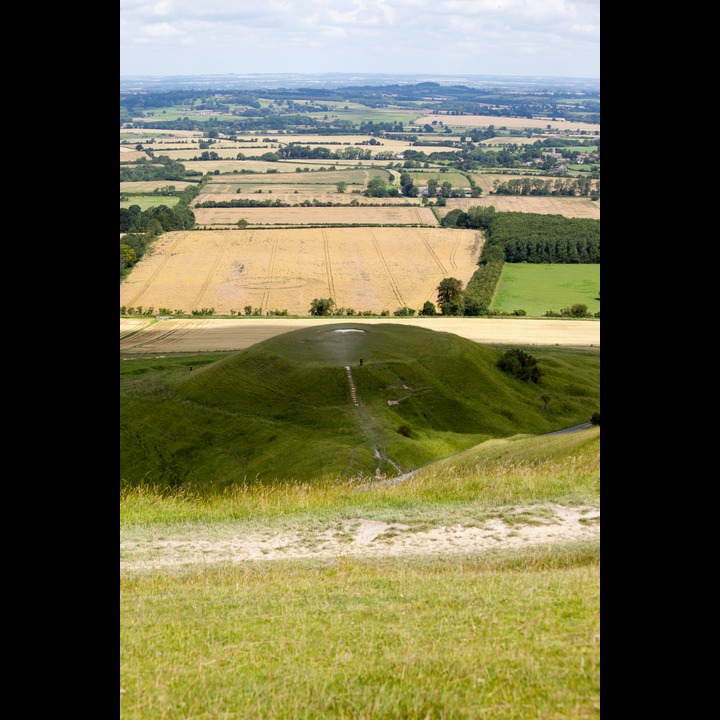 Dragon Hill with crop circle  - from the Uffington White Horse