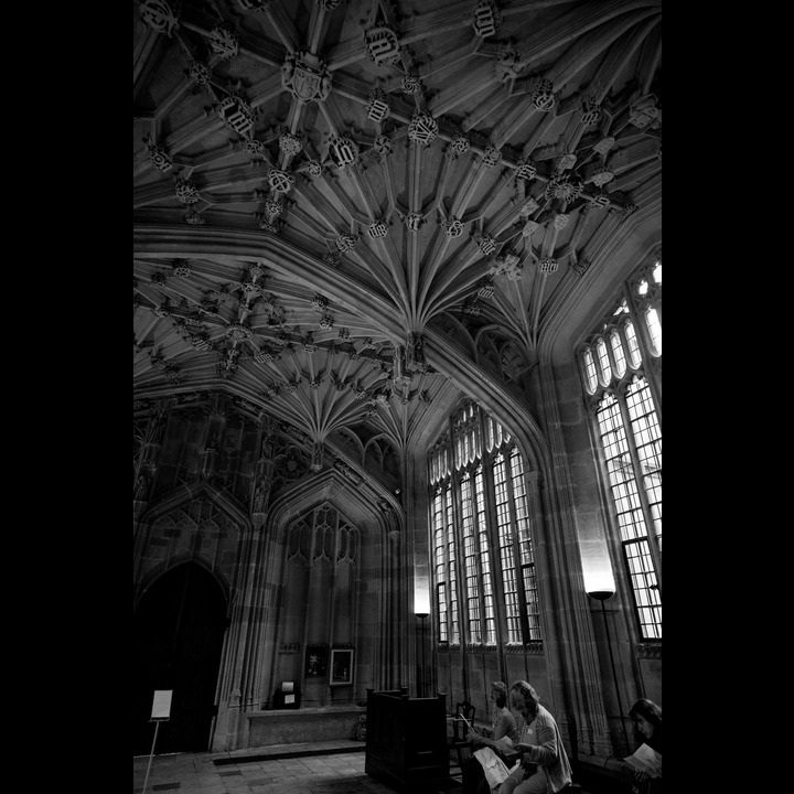 The Divinity School (Bodleian Library).
