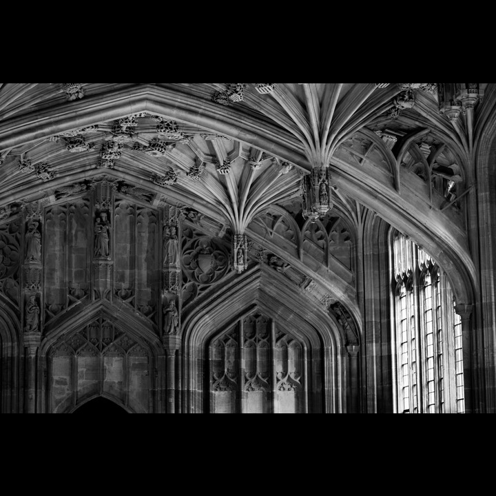 The Divinity School (Bodleian Library).